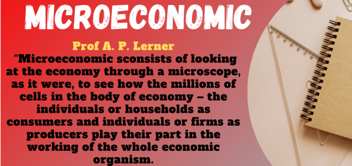 Microeconomic Definition