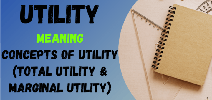 utility in economics