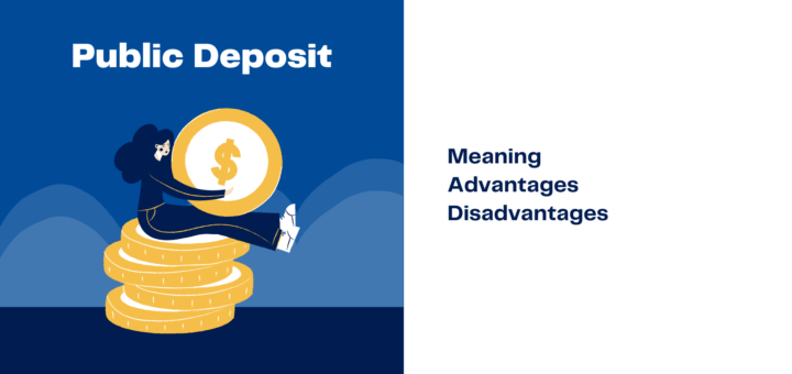 Public Deposits meaning