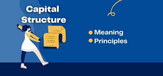 Capital Structure Meaning - Principles of Capital Structure 15 Capital Structure Meaning