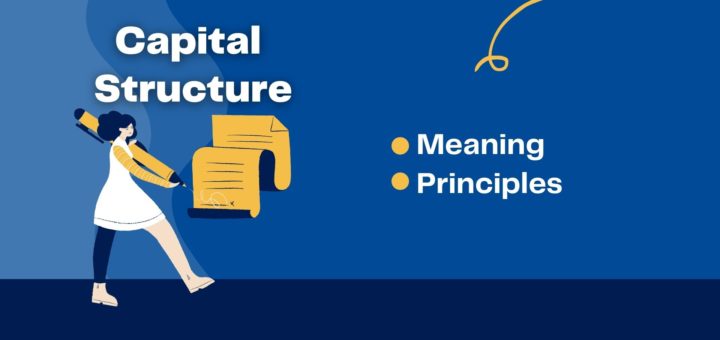 Capital Structure Meaning