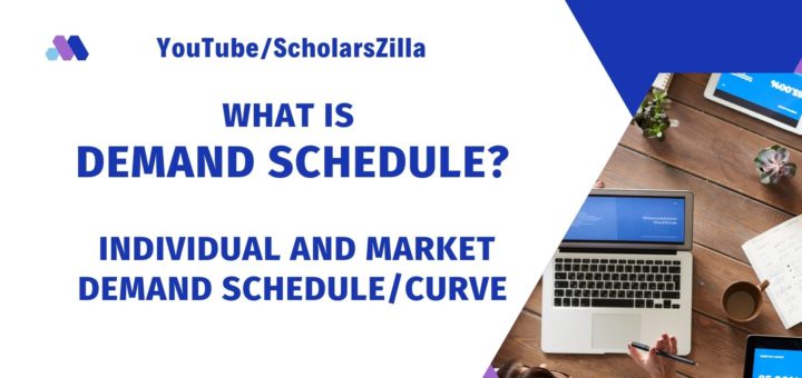 What is Demand Schedule ?