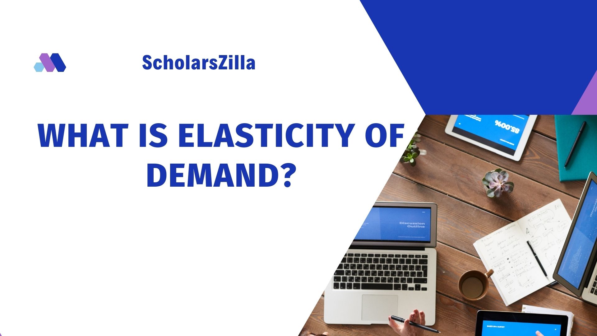 What is Elasticity of Demand Free Economic Blogs ScholarsZilla