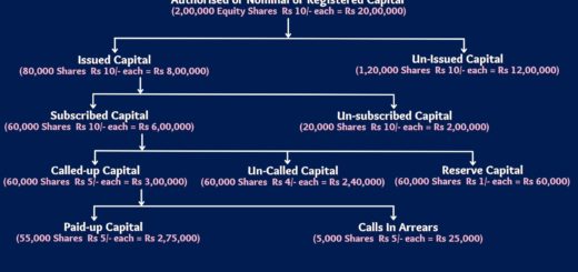 Share Capital Types - Scholarszilla 3 Types of Shares Capital
