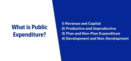 What is Public Expenditure? | Free Economic Blogs 3 What is Public Expenditure?