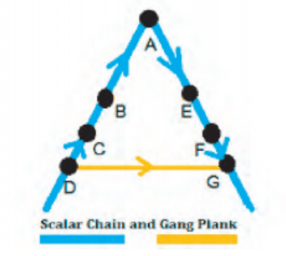 Scalar Chain and Gang Plank